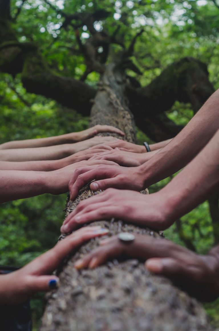 How is DEI implemented at the Extension School? Online Learning HUB